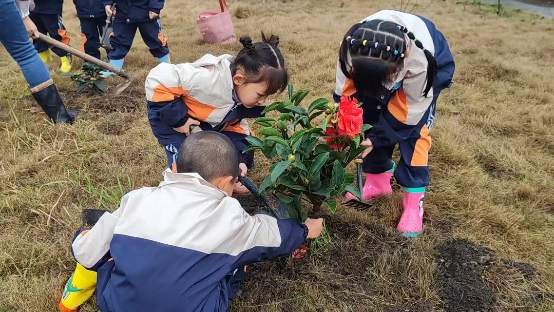 图3:浮石镇中心幼儿园植树节活动现场.jpg